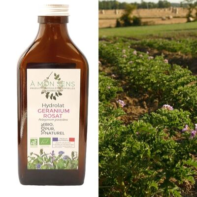 Hydrolate Geranium rosat Bio origin Burgundy